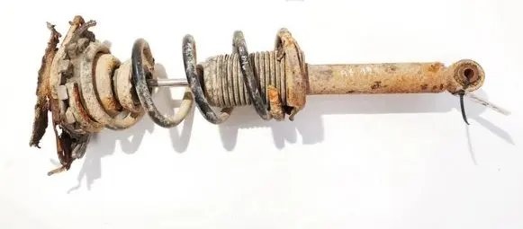 Nissan Almera Tino Rear shock absorber/damper