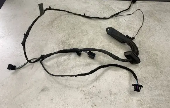 BMW 3 E46 Front door wiring loom 6913094 133188 2D096146