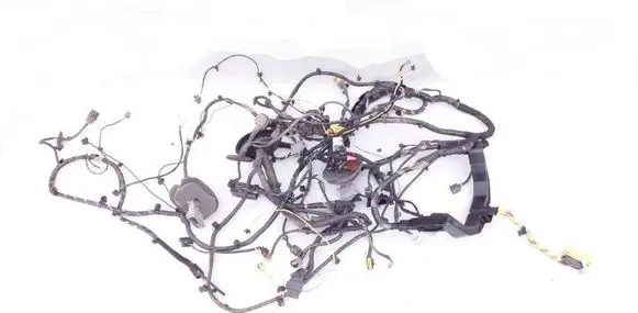 Chevrolet Aveo Wiring harness 950521991 EWMPMA0012 T300B0DY