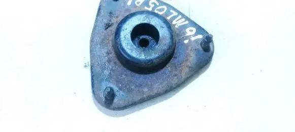 Coil spring mount