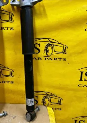 Ford Explorer VI Rear shock absorber/damper LB5C18W002FF