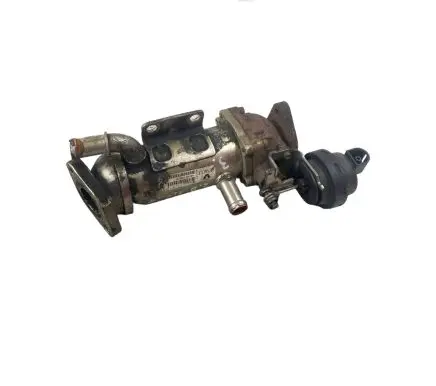 Renault Laguna III EGR valve cooler H8200340616 876481U