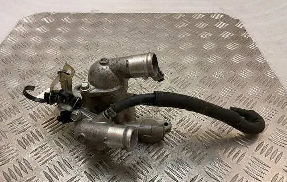 Thermostat/thermostat housing