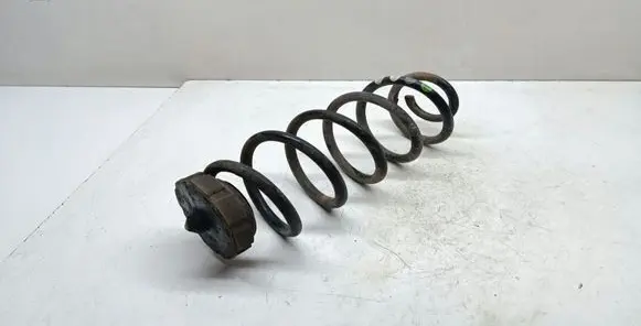 Rear coil spring