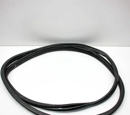 Honda Civic X Rubber seal front coupe door 