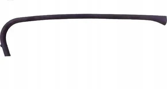 Infiniti G35 Front door trim (molding) 76952AM800