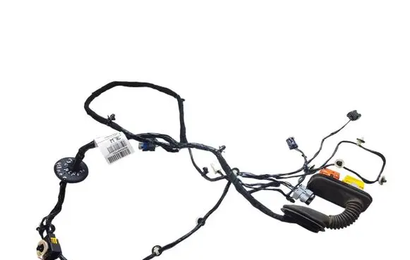 Front door wiring loom