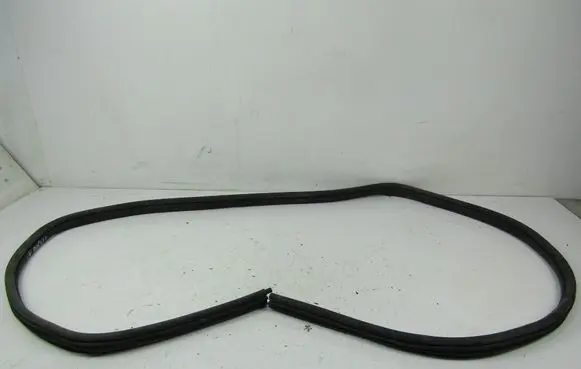 Chevrolet Trans Sport Front door rubber seal 