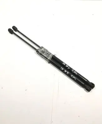 Tailgate/trunk strut/damper