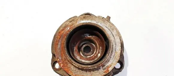 Coil spring mount
