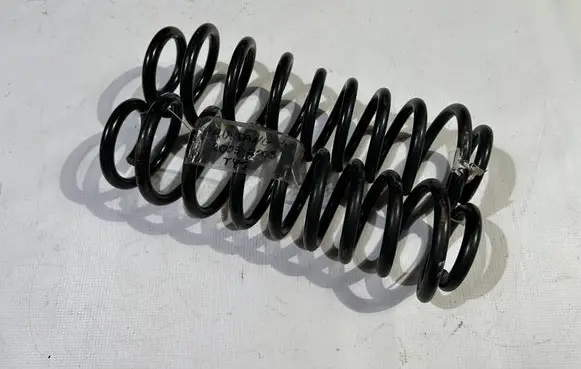 Ford Mustang V Rear coil spring 5R335560CC