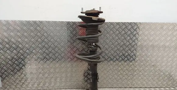 Toyota RAV 4 (XA20) Front shock absorber/damper