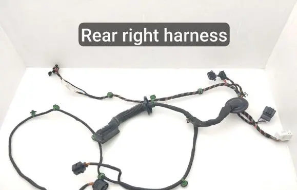 Porsche Taycan 9J1 Rear door wiring loom 9J1971693E