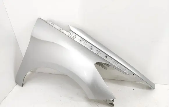 Citroen DS5 Fender