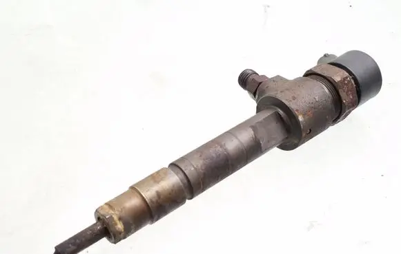 Fiat Punto (188) Fuel injector 0445110019