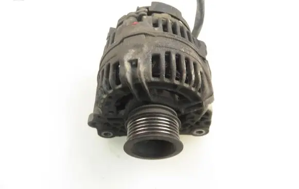 Volkswagen Golf IV Generator/alternator 0124325003 028903028D