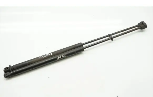 Tailgate/trunk strut/damper