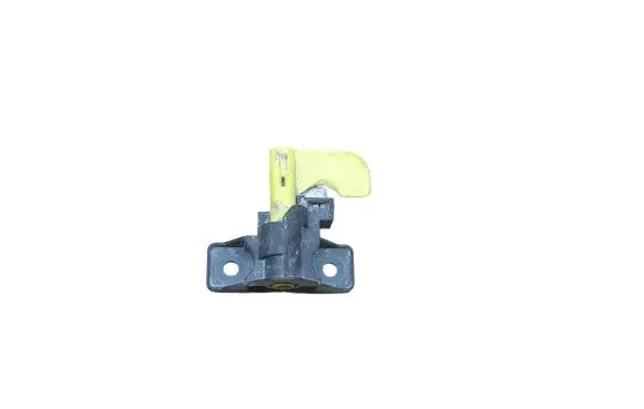 Citroen Berlingo Loading door check strap stopper 