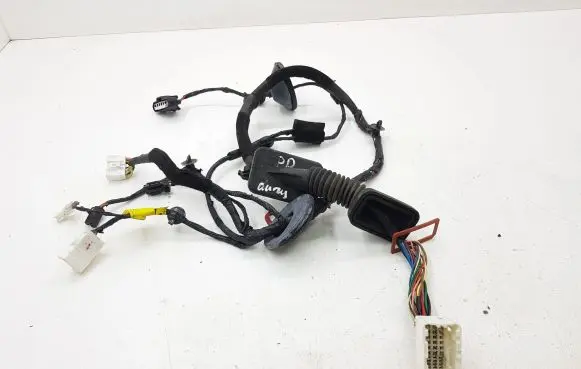 KIA Carens II Front door wiring loom 916101D171