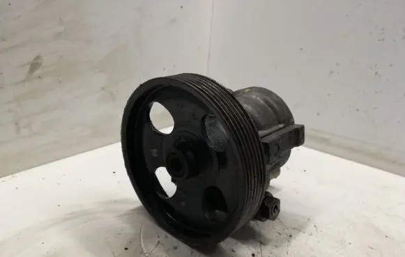 Renault Megane II Power steering pump 