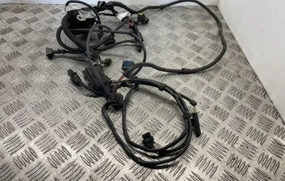 Engine installation wiring loom