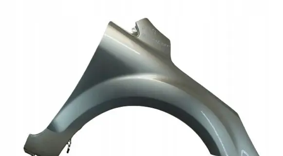 Ford Focus Fender