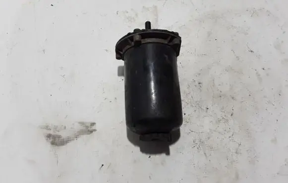 Renault Trafic III (X82) Fuel filter 164003263R