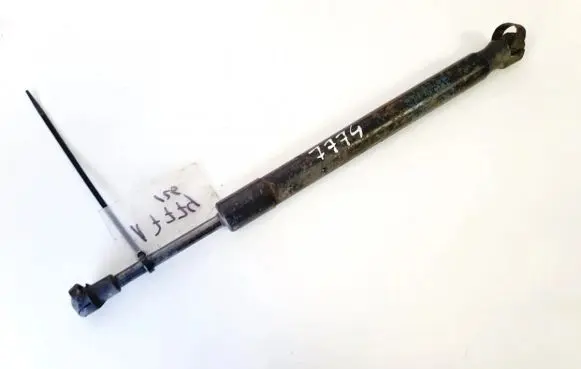 Volkswagen Jetta V Tailgate/trunk strut/damper 1386540710n
