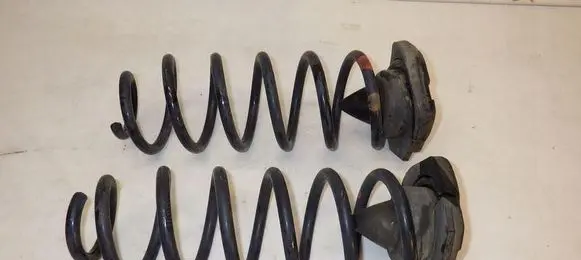 Renault Kadjar Rear coil spring 550324EA0A