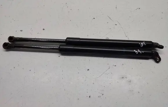 Tailgate/trunk strut/damper