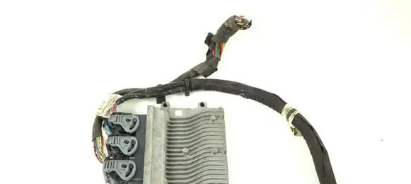 Engine control unit/module ECU