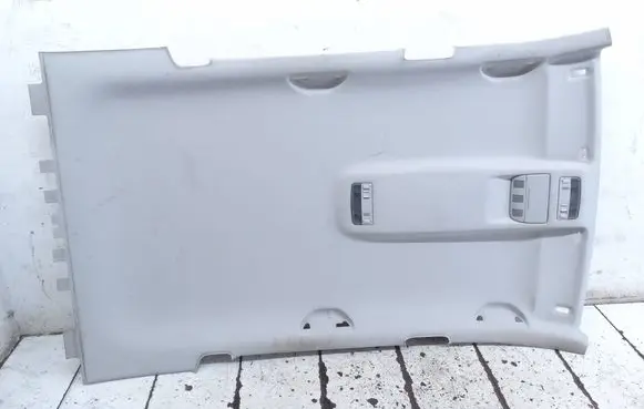 Skoda Octavia Mk2 (1Z) Headlining 