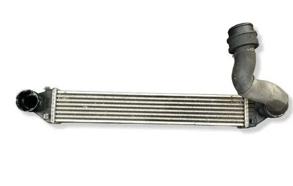 Mercedes-Benz B W245 Intercooler radiator A1695000000