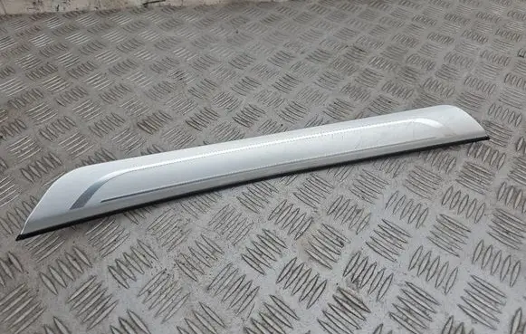 Rear sill trim cover