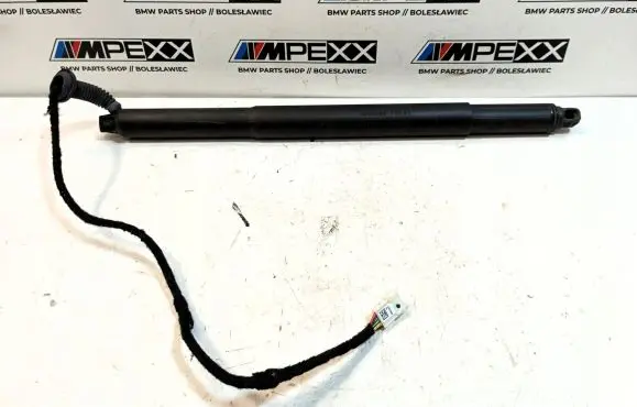 BMW X6 F16 Tailgate strut 7318652
