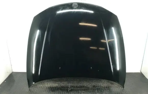 BMW 1 E81 E87 Engine bonnet/hood 