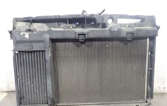 Peugeot 207 Radiator set 