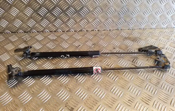 Ford B-MAX Tailgate/trunk strut/damper AV11R406A10AB 8357890550N