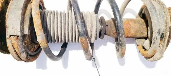 Rear coil spring