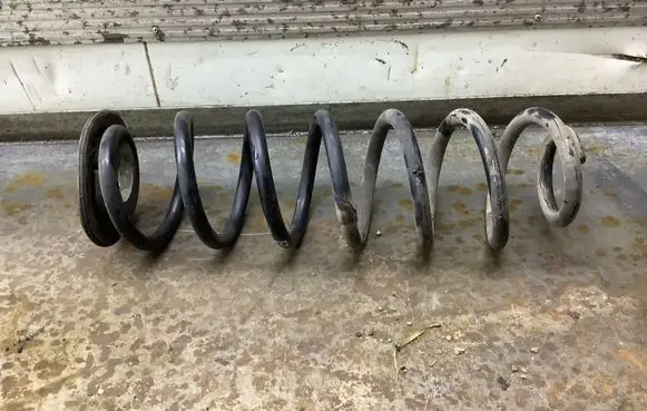 Rear coil spring