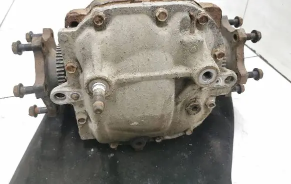 Nissan Pathfinder R51 Rear differential 38311E8300