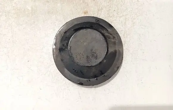 Headlight/headlamp dust cover