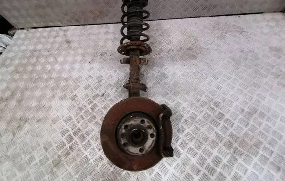 Renault Kangoo II Front wheel hub spindle knuckle