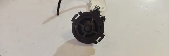 Front door high frequency speaker