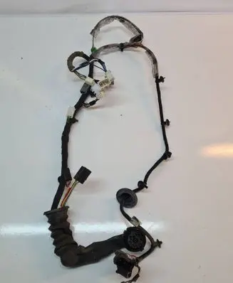 Front door wiring loom