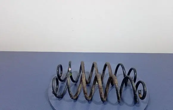 Rear coil spring