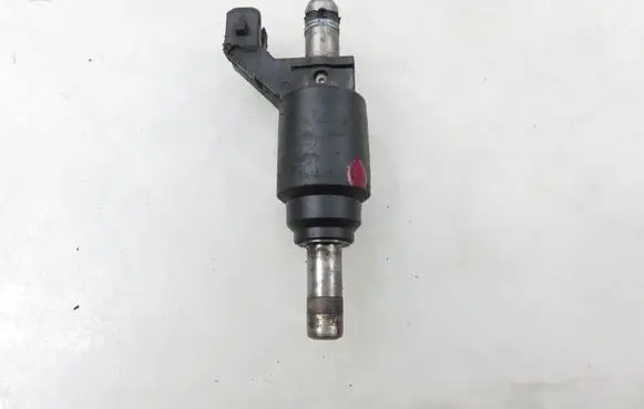 Opel Vectra C Fuel injector 24404012
