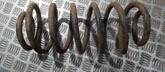 Rear coil spring