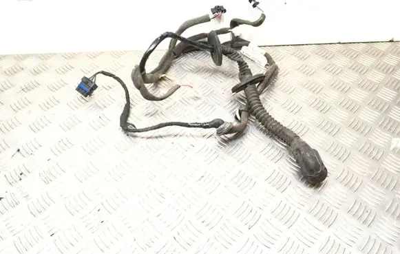 Renault Scenic III - Grand scenic III Rear door wiring loom 241263410 R216314 241263410R