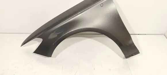 Fender